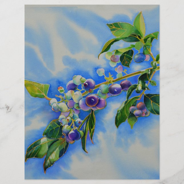 Blueberry watercolor painting (Front)