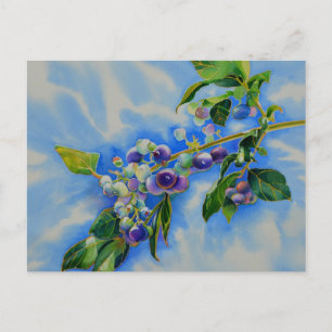 Blueberry watercolor painting postcard