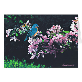 Bluebird