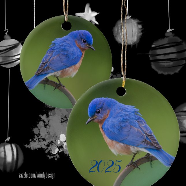 Bluebird 2025 Christmas Ceramic Ornament (Creator Uploaded)