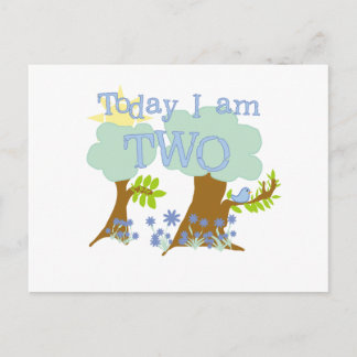 Bluebird 2nd Birthday Tshirts and Gifts Postcard