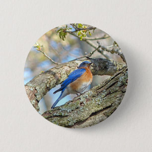 Bluebird 6 Cm Round Badge