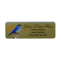 Bluebird Address