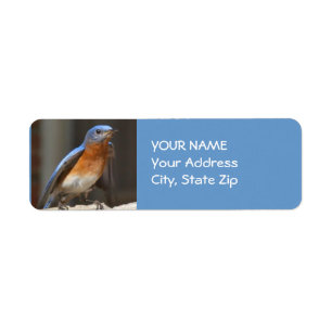 Bluebird Address Label