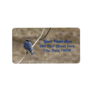 Bluebird Address Labels