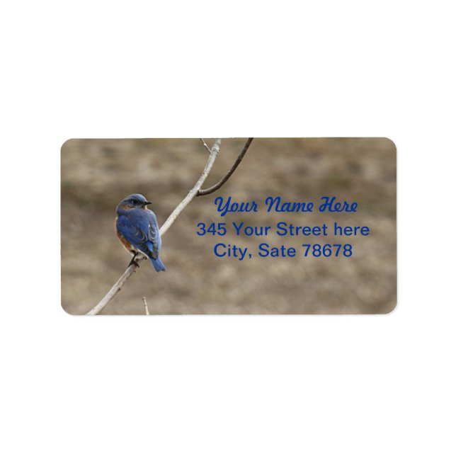 Bluebird Address Labels (Front)