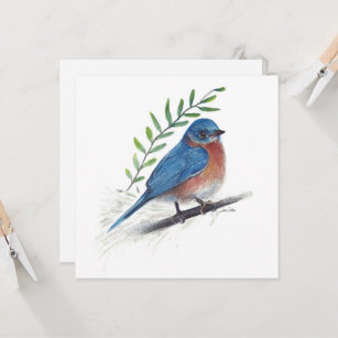 Bluebird Art Bird Card