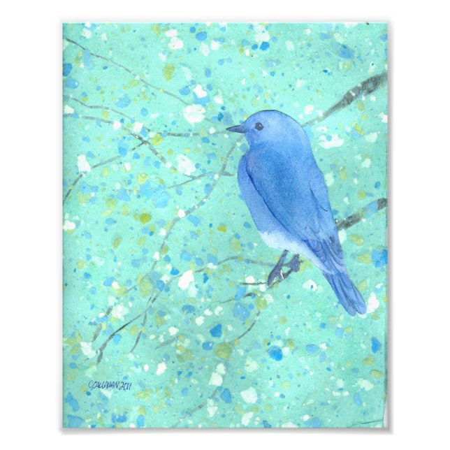 Bluebird Art Print (Front)
