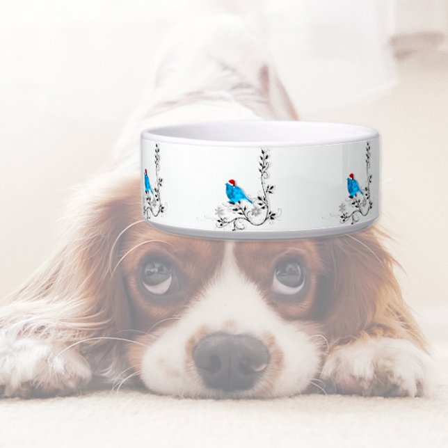 Bluebird at Christmas Bowl (Creator Uploaded)