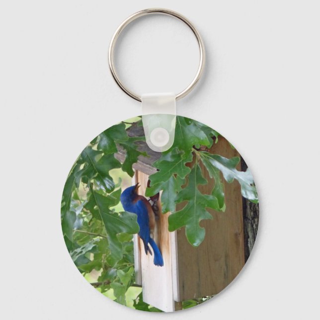 Bluebird at Home Key Ring (Front)