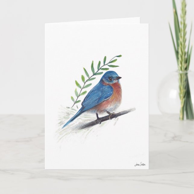 Bluebird Bird Art Card (Front)
