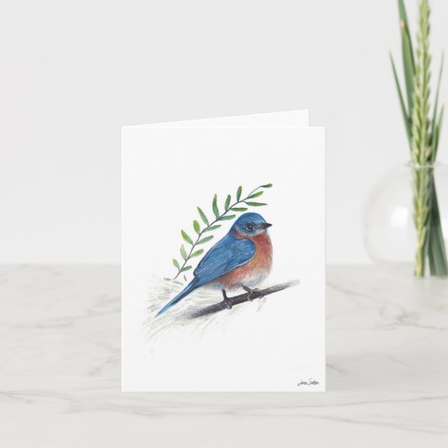 Bluebird Bird Art Card (Front)