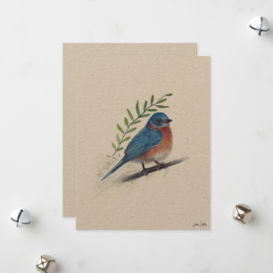 Bluebird Bird Art Holiday Card