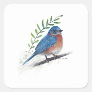 Bluebird Bird Art Square Sticker
