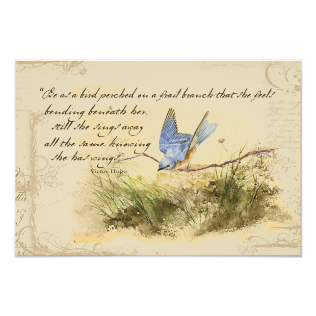 Bluebird Bird on a Branch Victor Hugo Poem Photo Print (Front)