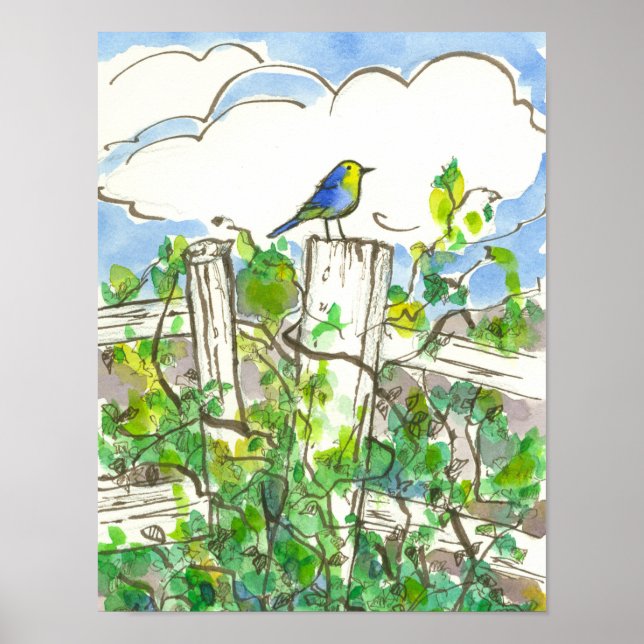 Bluebird Brambles Blue Sky Poster (Front)