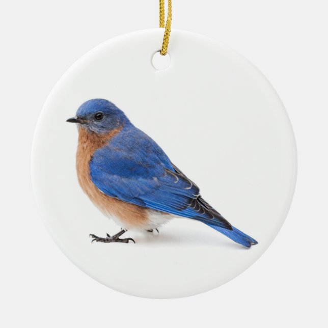 Bluebird Ceramic Tree Decoration (Front)