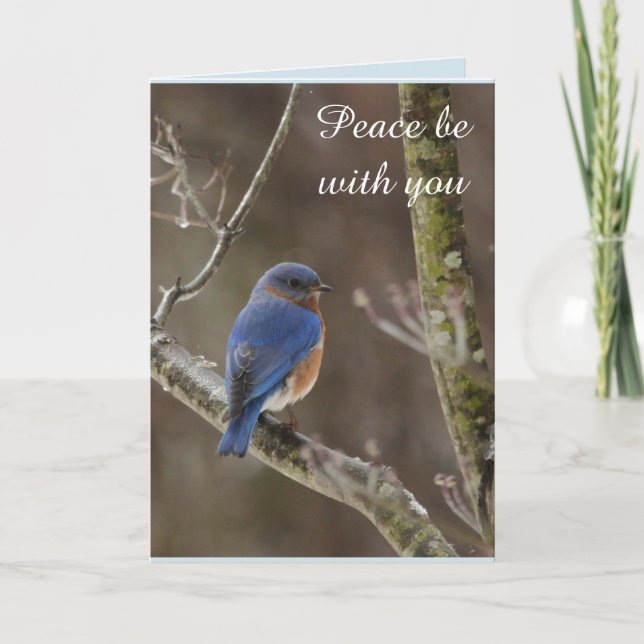 Bluebird Christmas card (Front)