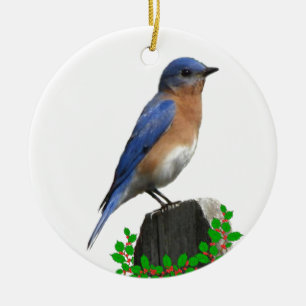 Bluebird Christmas Ceramic Tree Decoration