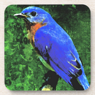 Bluebird Coaster