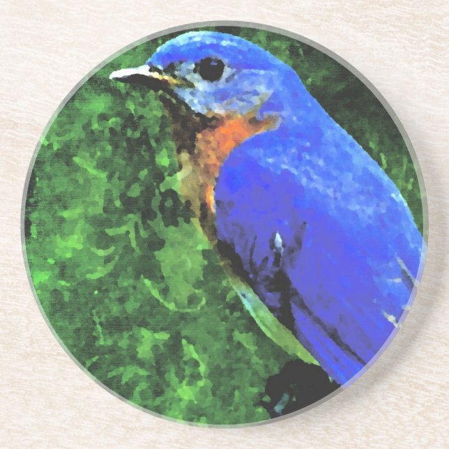 Bluebird Coaster (Front)