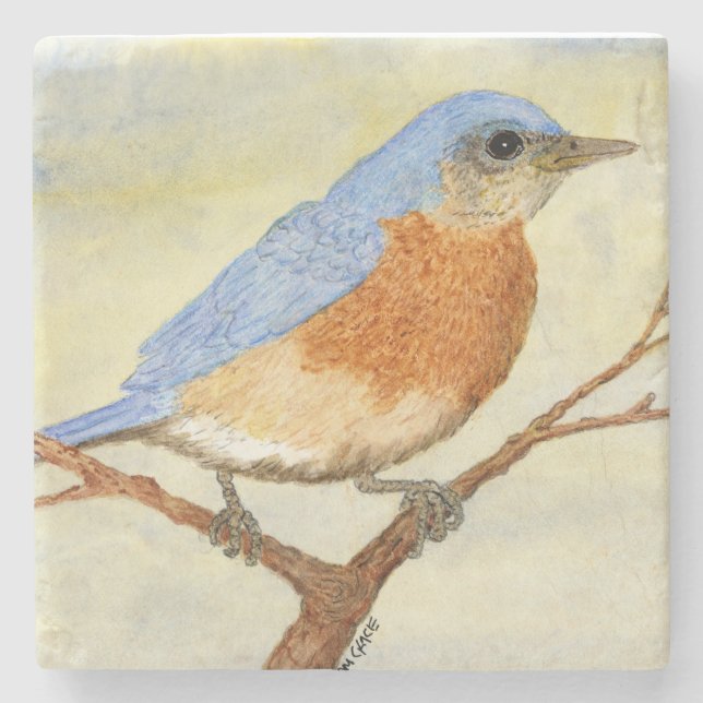 Bluebird Coaster 1 (Front)