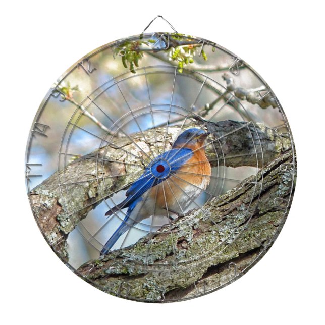 Bluebird Dartboard (Front)