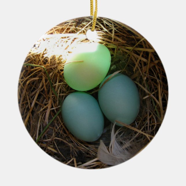 Bluebird Eggs Ornament (Front)