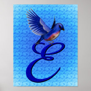 Bluebird Elegant Monogram Initial E Poster
