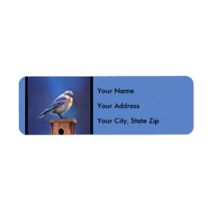 Bluebird (Female) Painting - Original Bird Art