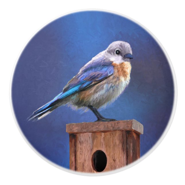Bluebird (Female) Painting - Original Bird Art Ceramic Knob (Front)