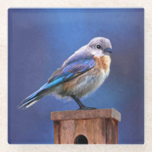 Bluebird (Female) Painting - Original Bird Art Glass Coaster