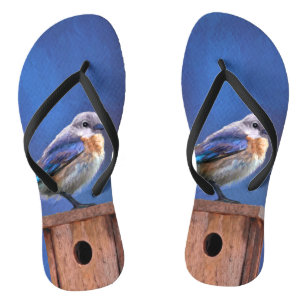 Bluebird (Female) Painting - Original Bird Art Jandals