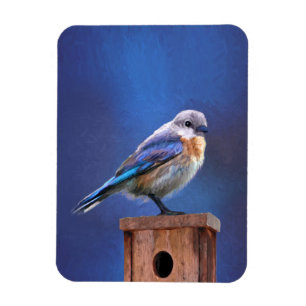Bluebird (Female) Painting - Original Bird Art Magnet