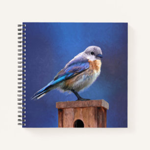 Bluebird (Female) Painting - Original Bird Art Notebook