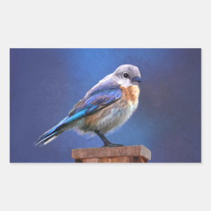 Bluebird (Female) Painting - Original Bird Art Rectangular Sticker