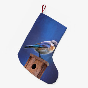 Bluebird (Female) Painting - Original Bird Art Small Christmas Stocking