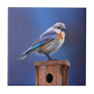 Bluebird (Female) Painting - Original Bird Art Tile