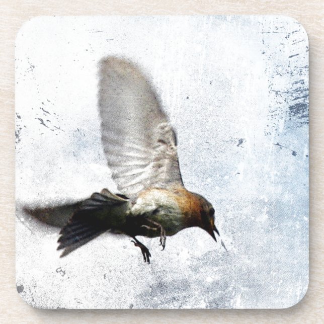Bluebird Grunge Coaster (Front)