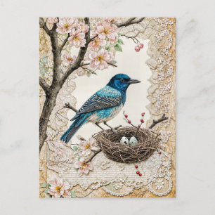 Bluebird in Blossoms with nest Holiday Postcard