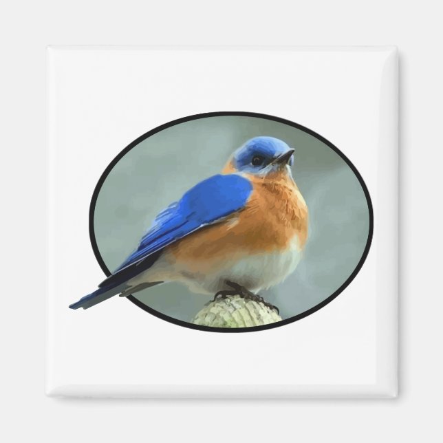 Bluebird in Oval Frame Magnet (Front)