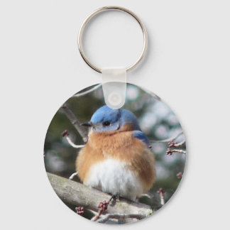 Bluebird Key Ring
