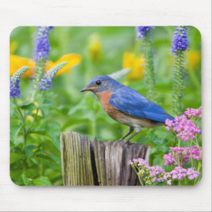 Bluebird male on fence post in flower garden mouse pad