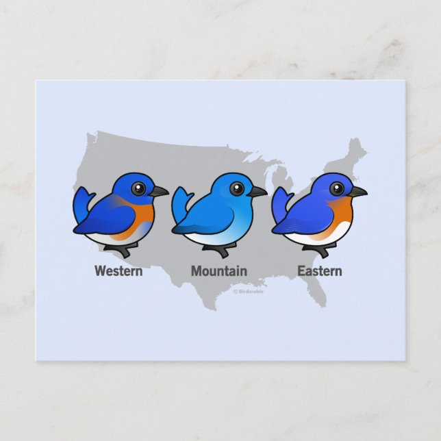 Bluebird Map Postcard (Front)