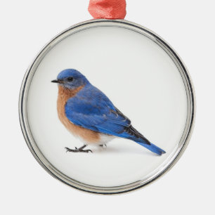 Bluebird Metal Tree Decoration