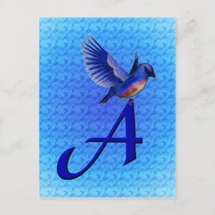 Bluebird Monogram Initial A Postcard