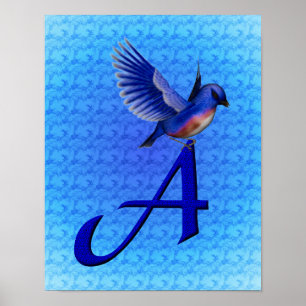 Bluebird Monogram Initial A Poster