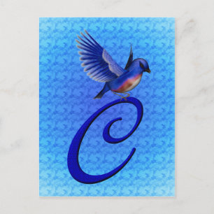Bluebird Monogram Initial C Elegant Postcard