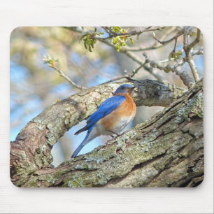 Bluebird Mouse Pad