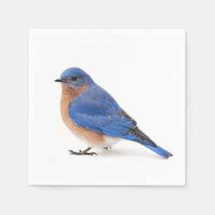 Bluebird Napkin